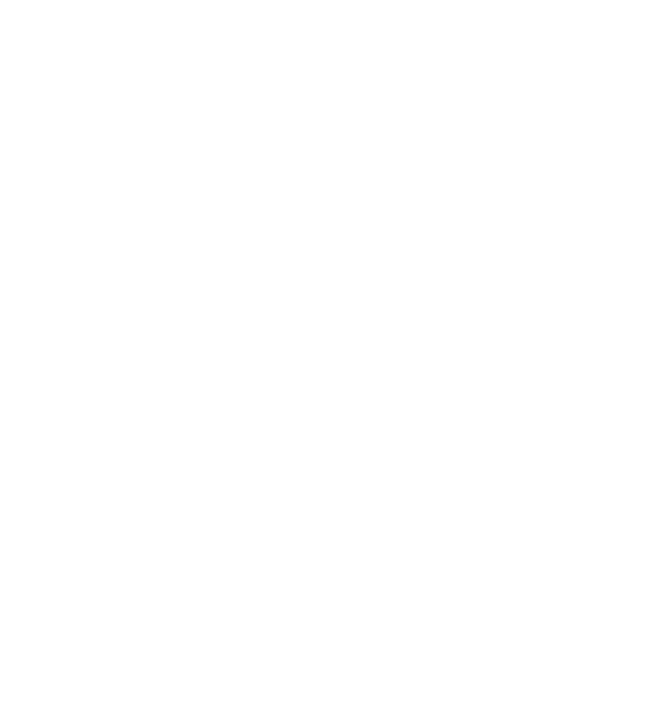 <strong>-  Beratung bei der Auswahl Ihres individuellen Webdesigns</strong><br />
<strong>-  Designentwicklung und Formulierung von Werbetexten</strong><br />
<strong>-  Fotoaufnahmen, Bildrecherche und Bildbearbeitung</strong><br />
<strong>-  Programmierung, Einrichtung und </strong><span style='font-weight: bold;'>Google-Optimierung</span><br />
<strong>-  Bereitstellung auf Ihrem Kundenserver</strong><br />
<br />
 <br />
<strong>Webdesign „Basic"   </strong>statisches Webdesign, bei dem Ihre Inhalte direkt in den einzelnen Webseiten gespeichert werden (Online-Bilderbuch). Inhaltliche Änderungen werden von uns in das vorliegende Webdesign eingearbeitet und danach online wieder freigeschaltet<br />
 <br />
<strong>Webdesign „Komfort“   </strong>dynamisches Webdesign, bei dem Sie durch die Anbindung der Webseiteninhalte an Datenbanken "CMS-System" nach der online-Freischaltung individuelle Änderungen am Inhalt vornehmen können (sinnvoll, wenn Webinhalte regelmäßig aktualisiert bzw. erweitert werden)